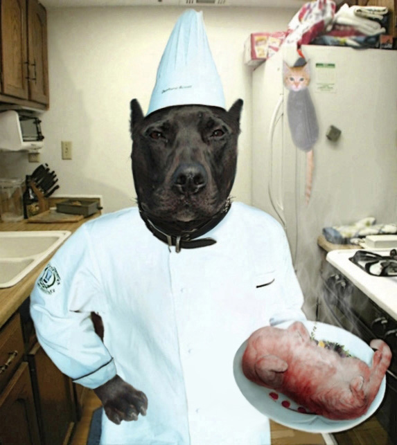 Photoshop Design by Draifet for DesignCrowd (Community Contests) | Design #9098137