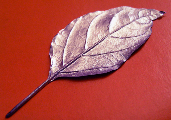 Fotografía por Vinnied para DesignCrowd (Community Contests) | Diseño #9096334