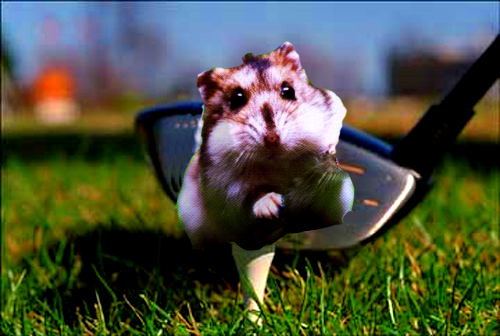 Diseño de Photoshop por bottler para DesignCrowd (Community Contests) | Diseño #9096604