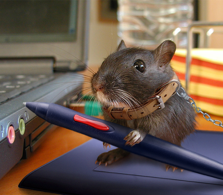 Photoshop Design by DeconstructedHarry for DesignCrowd (Community Contests) | Design #9096769