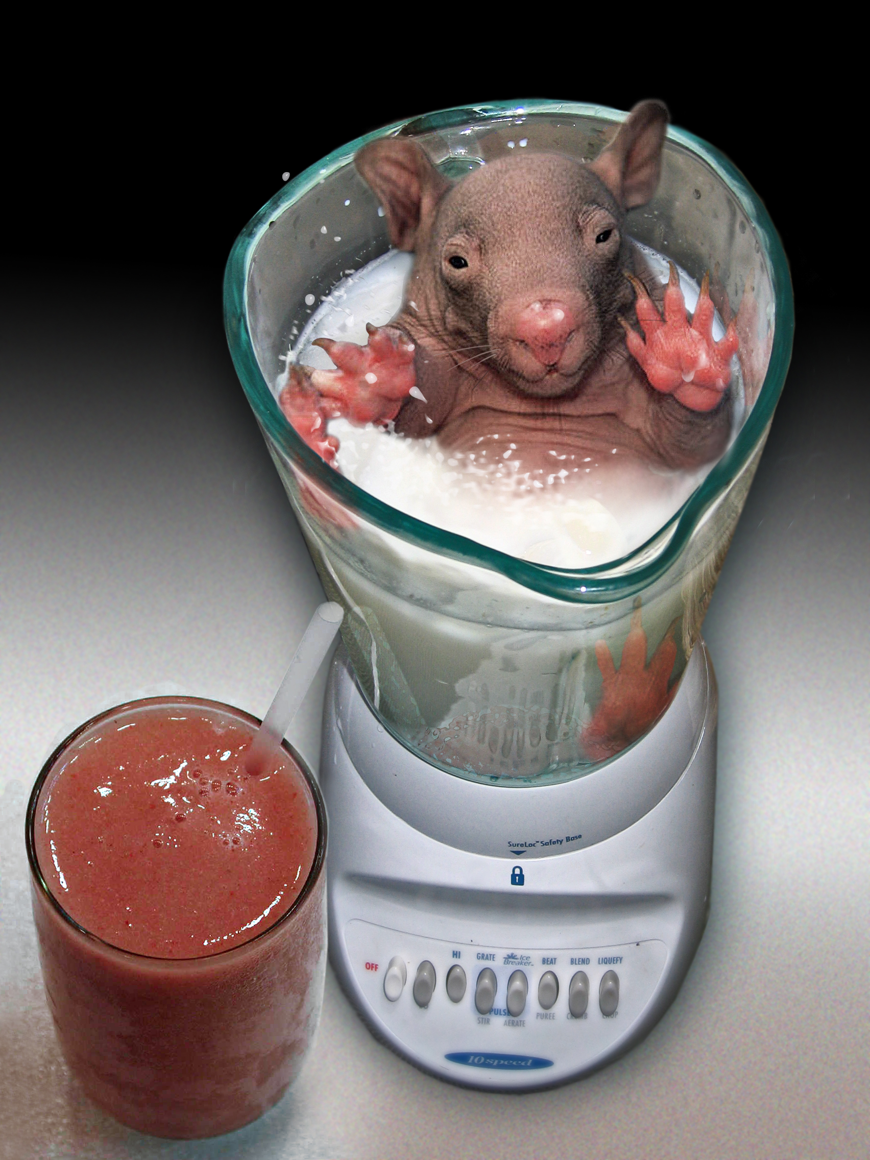 Diseño de Photoshop por Penbender para DesignCrowd (Community Contests) | Diseño #9096725