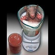 Photoshop Design by Penbender