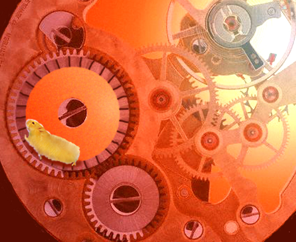 Photoshop Design by Design UnStudio for DesignCrowd (Community Contests) | Design #9096759