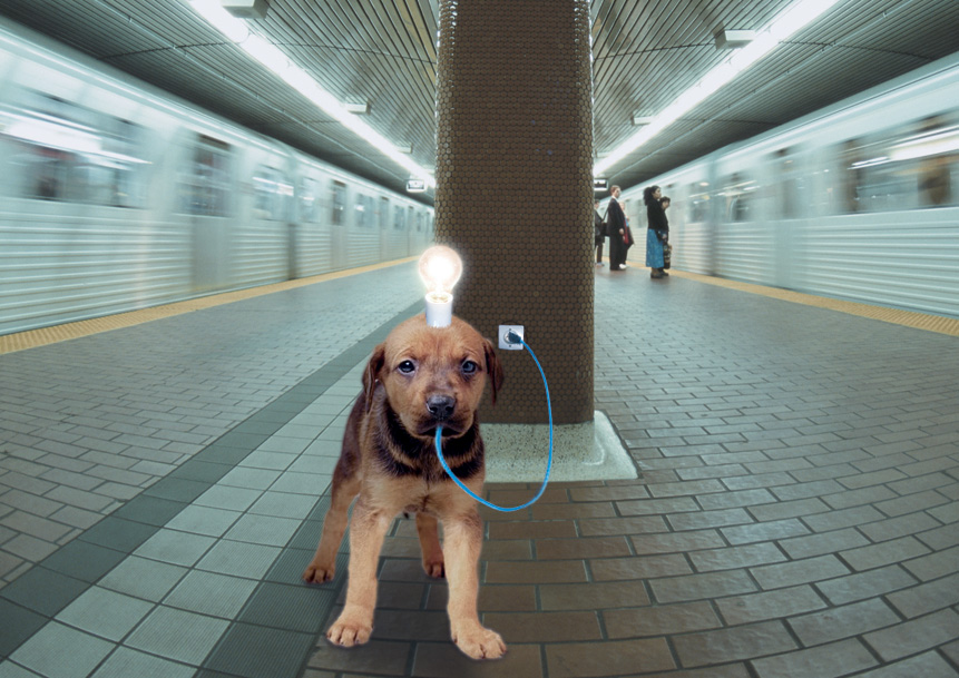 Photoshop Design by 123lezy for DesignCrowd (Community Contests) | Design #9096788