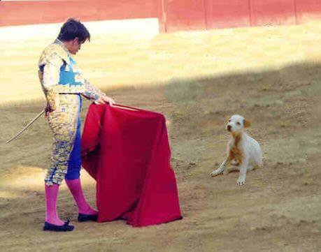 Photoshop Design by Sirtoddalot for DesignCrowd (Community Contests) | Design #9096723