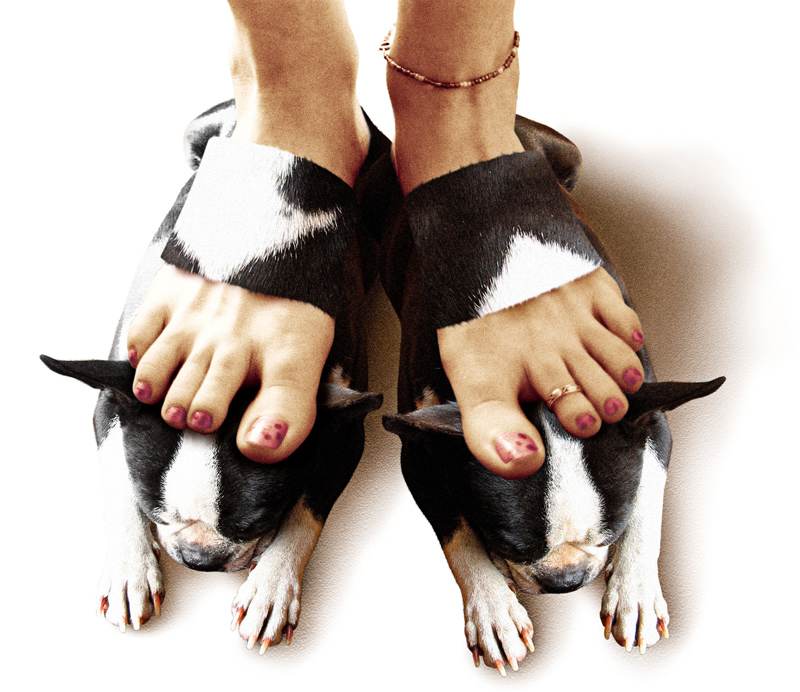 Diseño de Photoshop por renatodornas para DesignCrowd (Community Contests) | Diseño #9096712