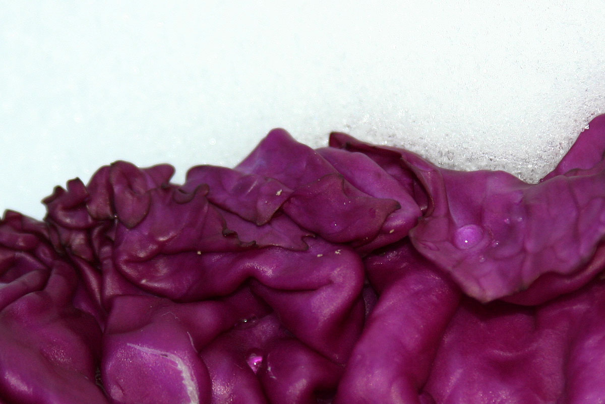 Photographie par pixelatedsharpness pour DesignCrowd (Community Contests) | Design #9096447