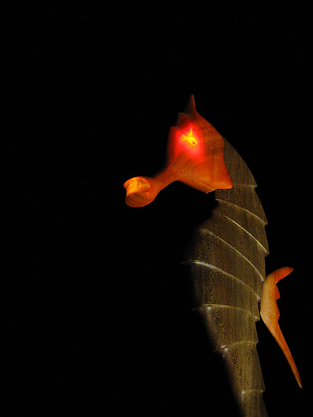 Photography by DFragXD for DesignCrowd (Community Contests) | Design #9099750