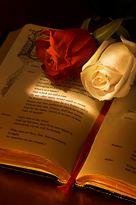 Photographie par branie pour DesignCrowd (Community Contests) | Design #9099740