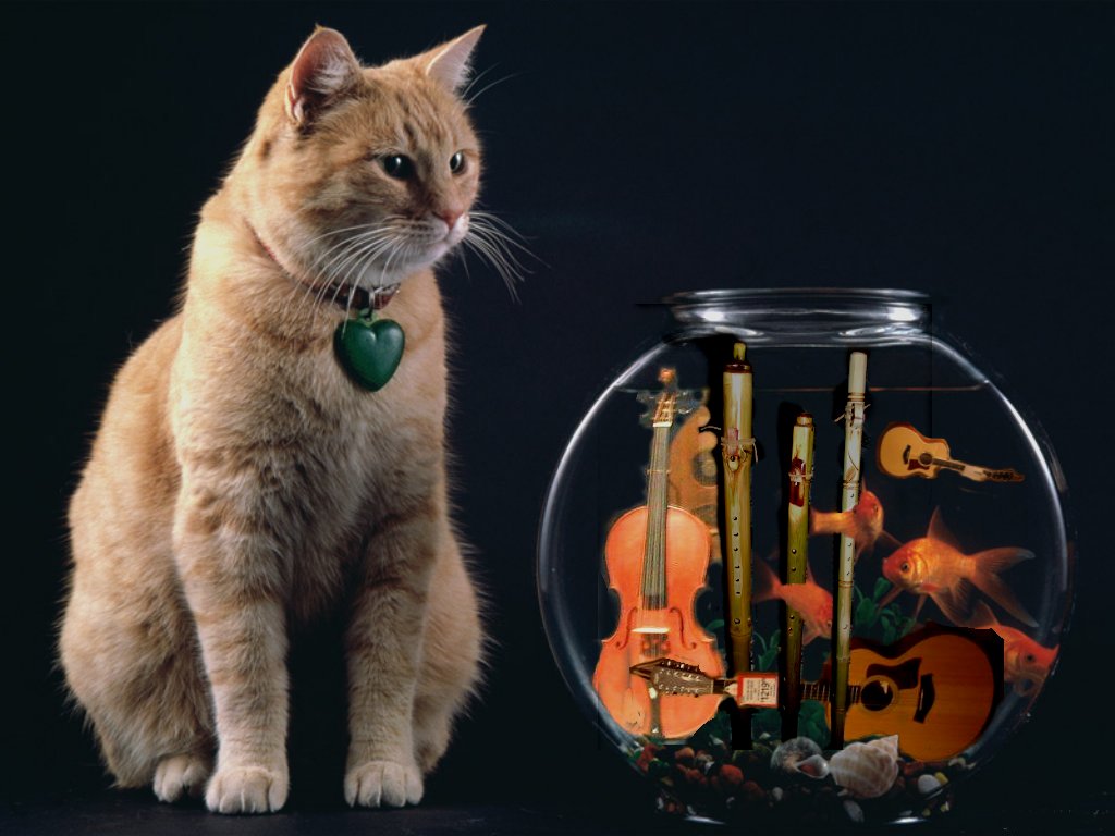 Design Photoshop par yavannilde pour DesignCrowd (Community Contests) | Design #9098667