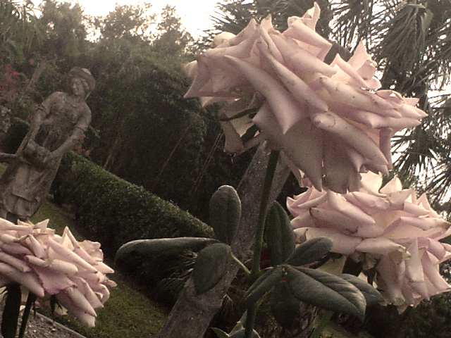 Fotografie von AlinaB7 für DesignCrowd (Community Contests) | Design #9095171