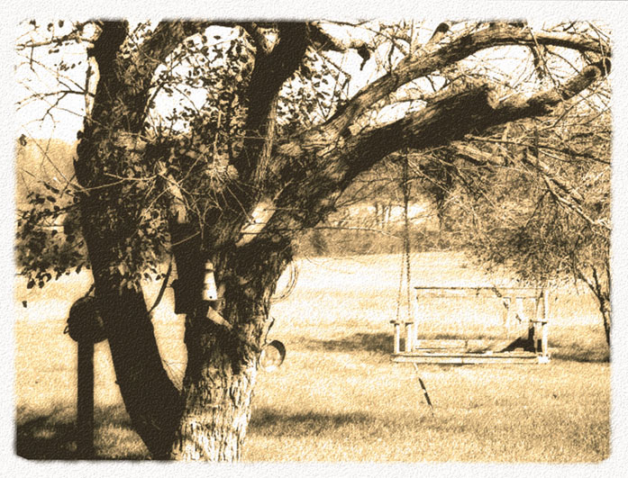 Photography by psyclone for DesignCrowd (Community Contests) | Design #9095201