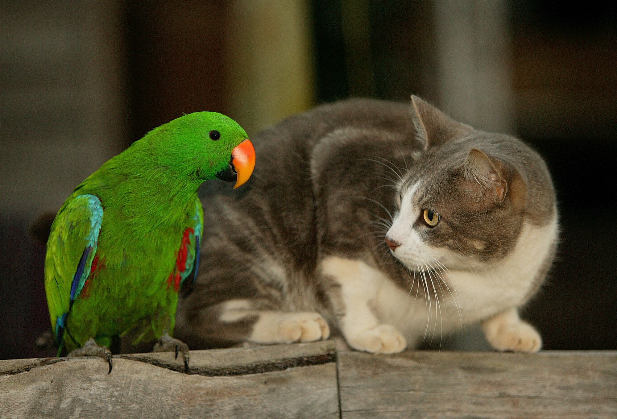 Photographie par wrathe pour DesignCrowd (Community Contests) | Design #9092197