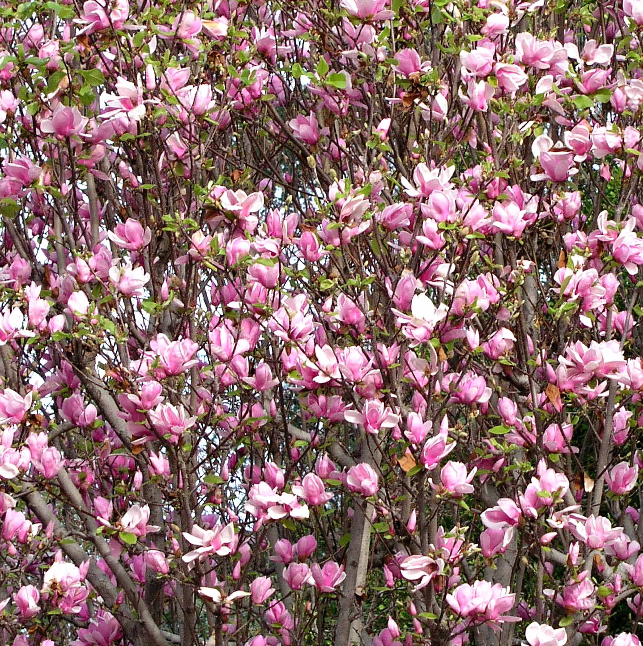 Photography by UPUPUP for DesignCrowd (Community Contests) | Design #9095067