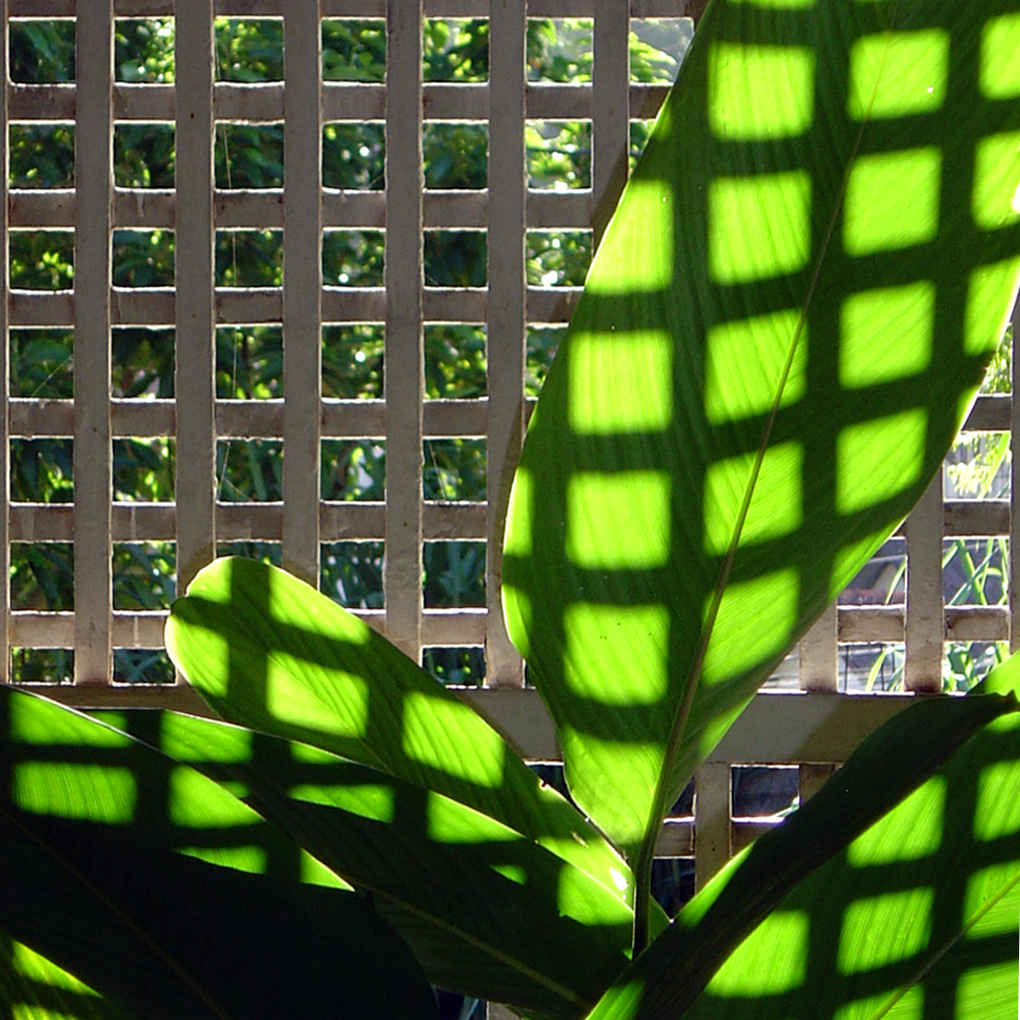 Photography by Claudio42 for DesignCrowd (Community Contests) | Design #9095080