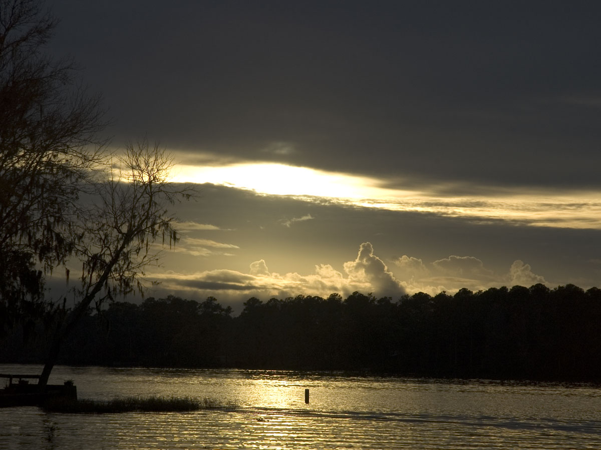 Photography by Jawizza for DesignCrowd (Community Contests) | Design #9073592