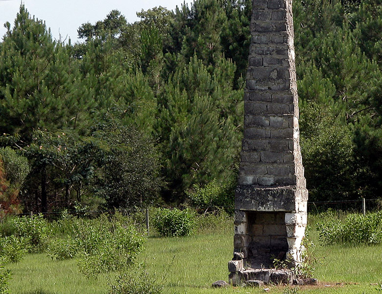 Photography by Jawizza for DesignCrowd (Community Contests) | Design #9097251