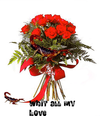 Photoshop Design by Sammyy for DesignCrowd (Community Contests) | Design #9084045