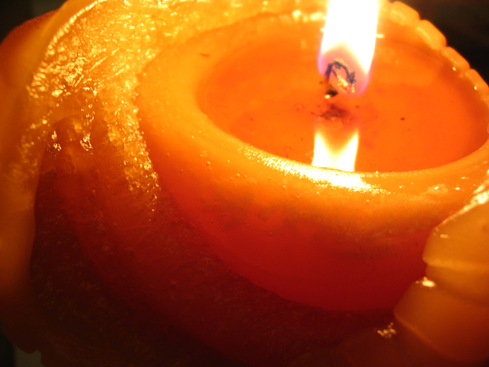 Photography by ivanico for DesignCrowd (Community Contests) | Design #9073635