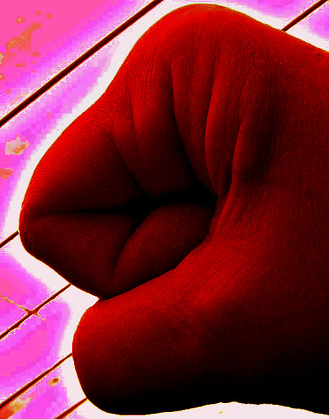 Photography by lumoto for DesignCrowd (Community Contests) | Design #9092276