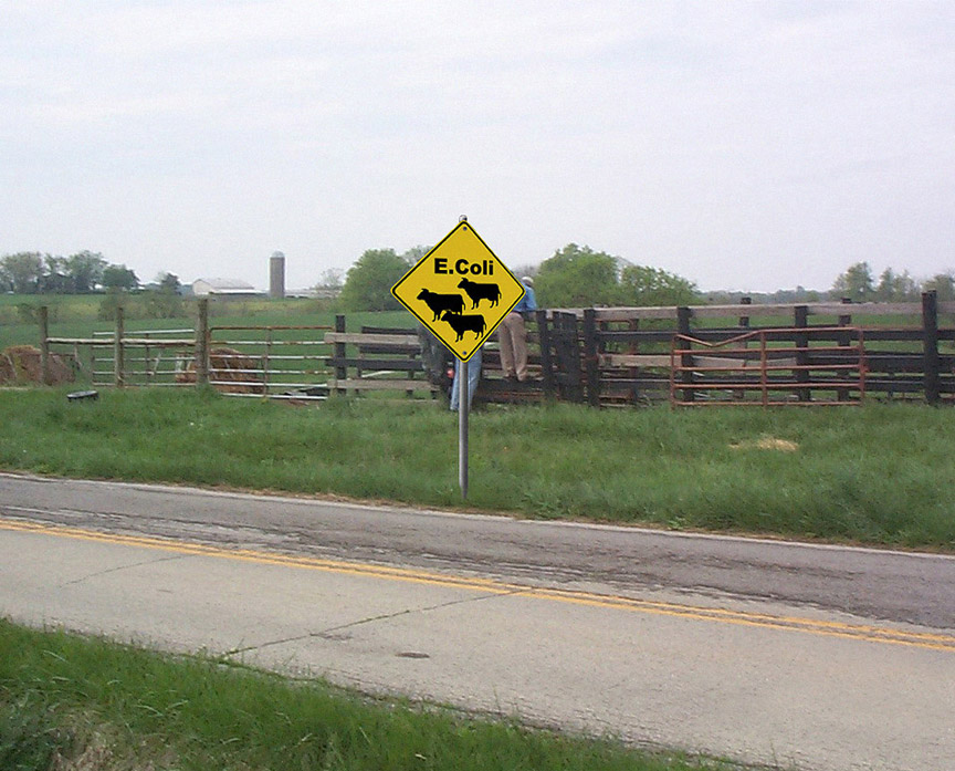 Diseño de Photoshop por Logoinvision para DesignCrowd (Community Contests) | Diseño #9093226