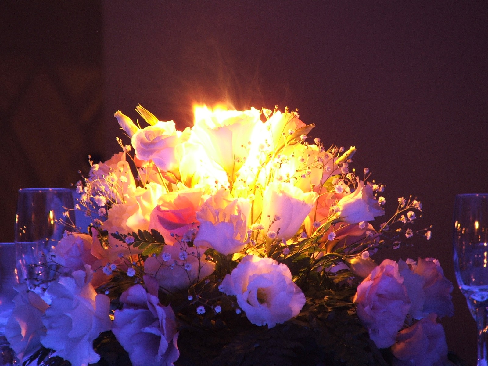 Fotografie von lmiranda für DesignCrowd (Community Contests) | Design #9073615