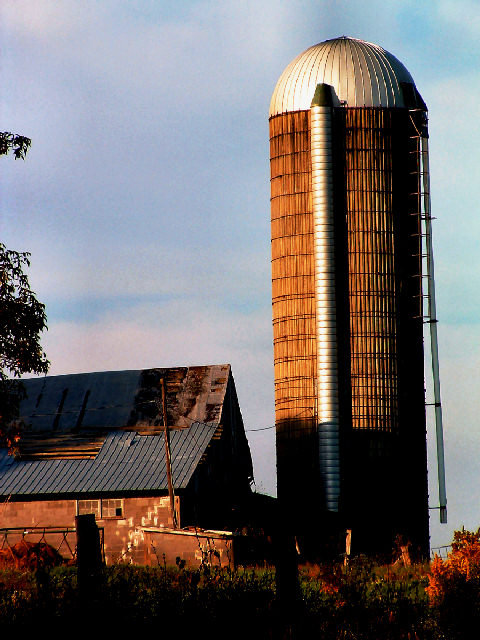 Fotografie von MrsFuzzButt für DesignCrowd (Community Contests) | Design #9097260