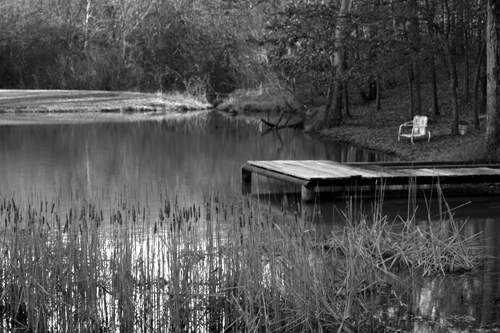 Photography by boomer33sooner for DesignCrowd (Community Contests) | Design #9097265