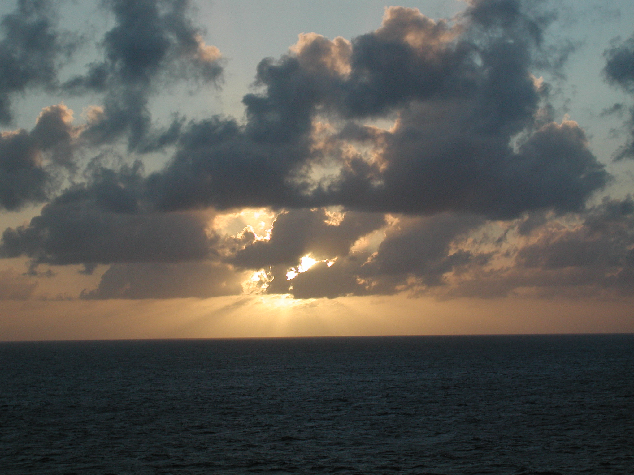 Fotografie von crgnjul für DesignCrowd (Community Contests) | Design #9073659