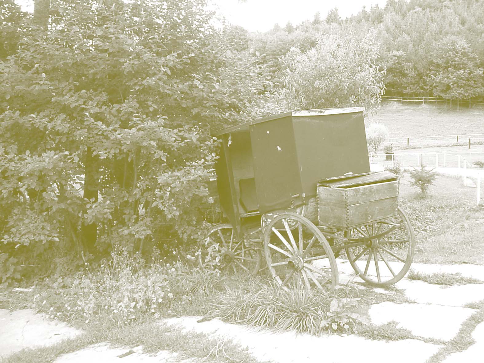 Photography by ghoose for DesignCrowd (Community Contests) | Design #9095295