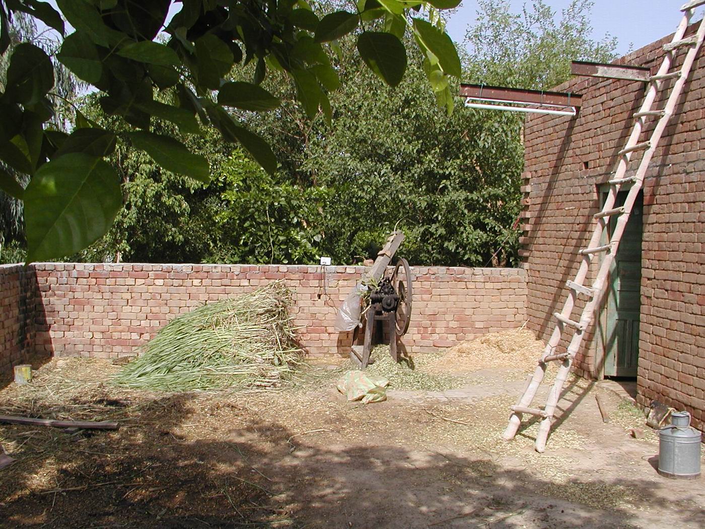 Photography by finicky for DesignCrowd (Community Contests) | Design #9097351