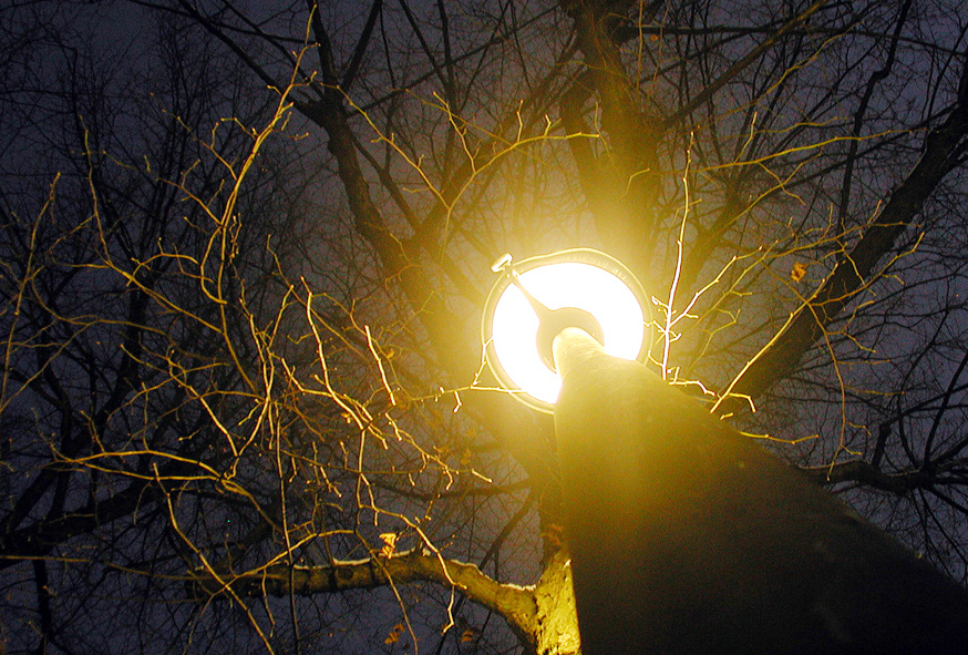 Photography by Anabole for DesignCrowd (Community Contests) | Design #9073703