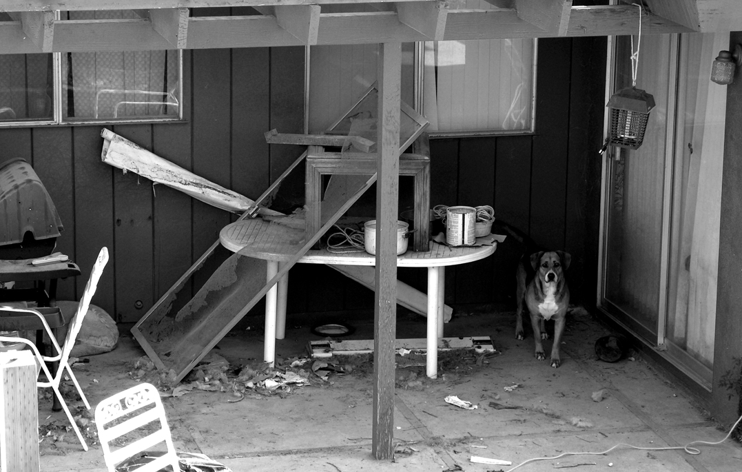 Photography by pitythestupid for DesignCrowd (Community Contests) | Design #9095267