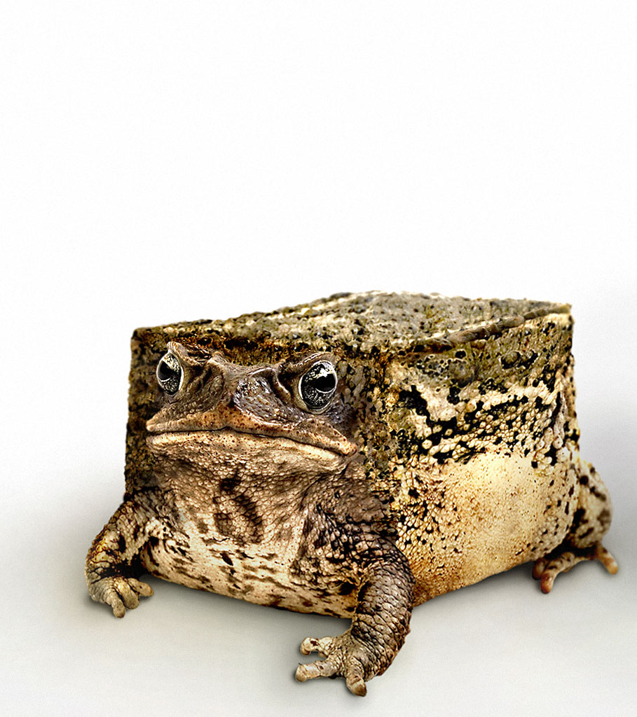 Photoshop Design by TBA for DesignCrowd (Community Contests) | Design #9074444