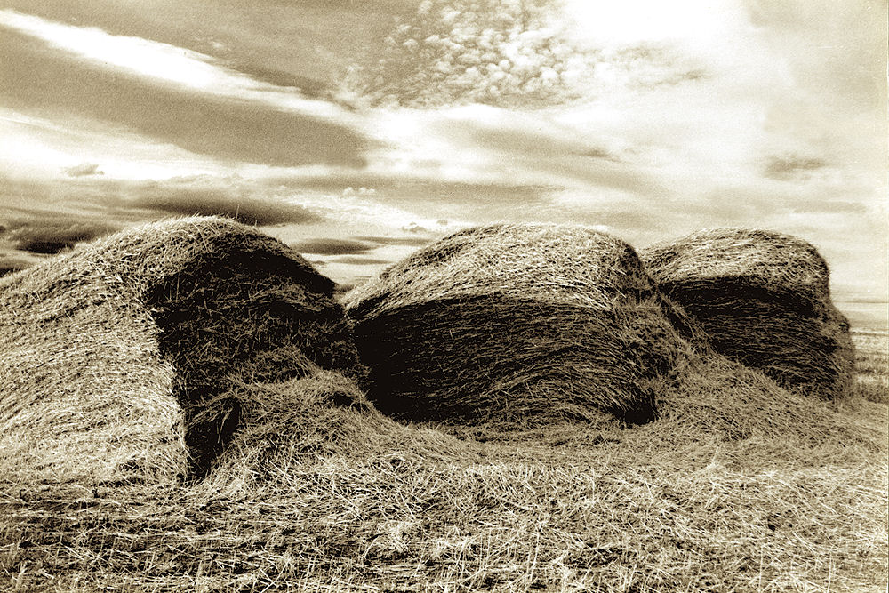 Fotografía por lahgon para DesignCrowd (Community Contests) | Diseño #9097330