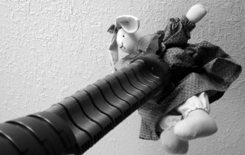 Photographie par Meggie pour DesignCrowd (Community Contests) | Design #9094757