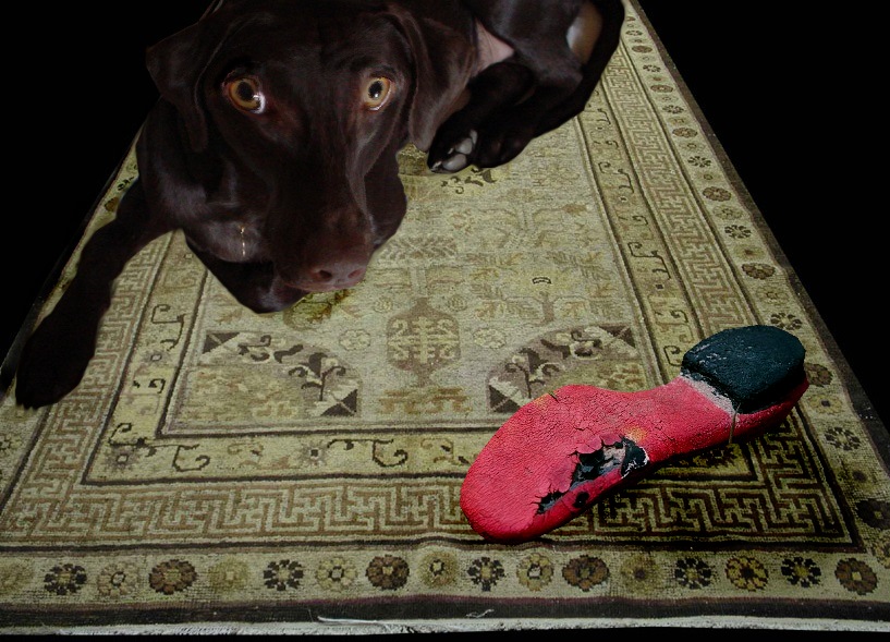 Diseño de Photoshop por crzyme para DesignCrowd (Community Contests) | Diseño #9094985