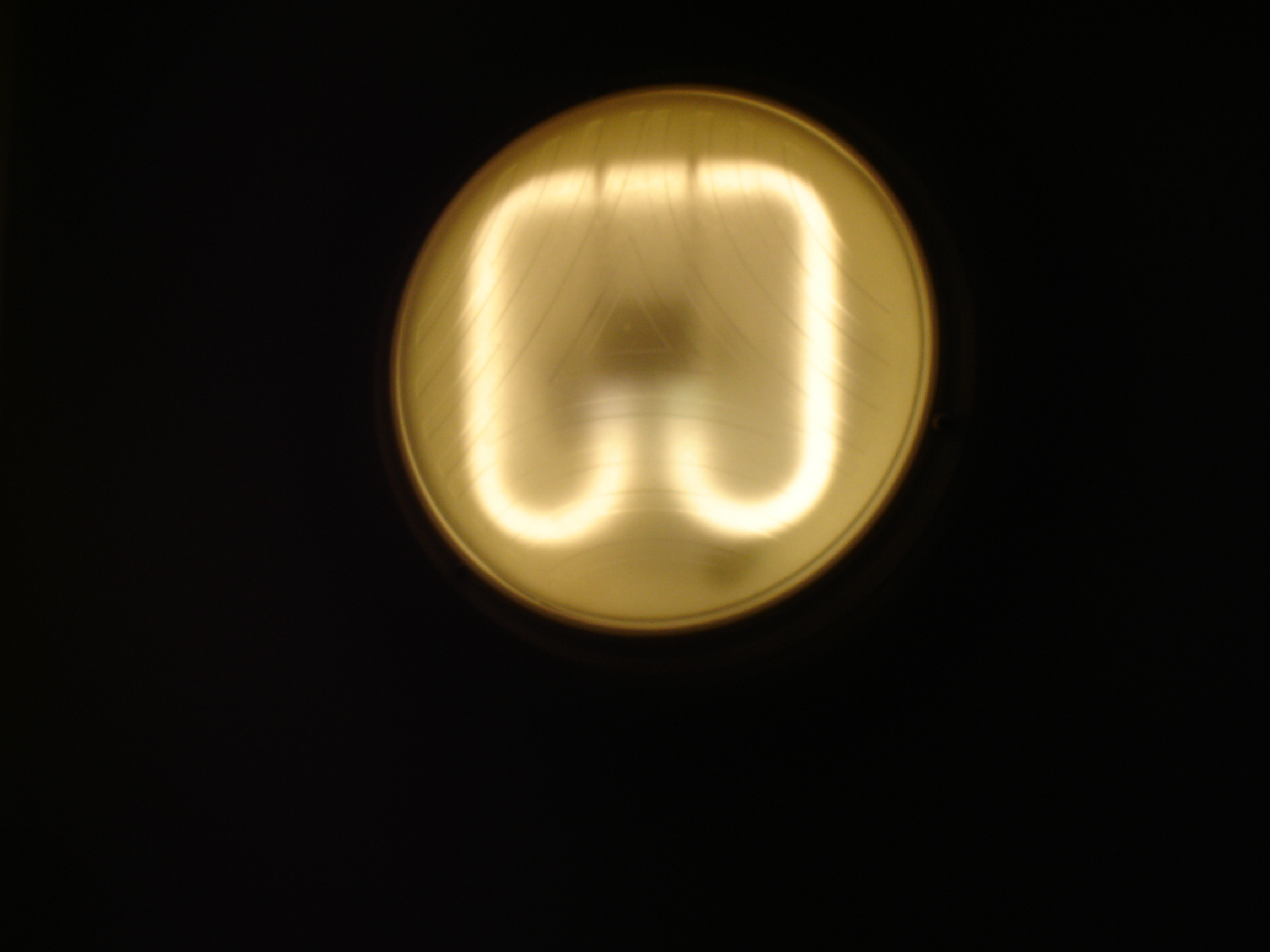 Fotografía por danny1001 para DesignCrowd (Community Contests) | Diseño #9073725