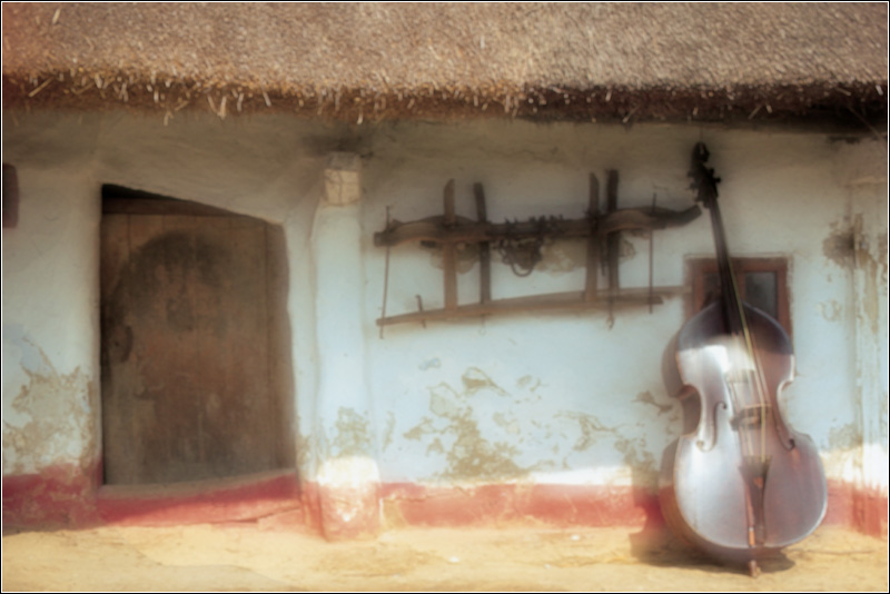 Fotografía por brut carniollus para DesignCrowd (Community Contests) | Diseño #9097352