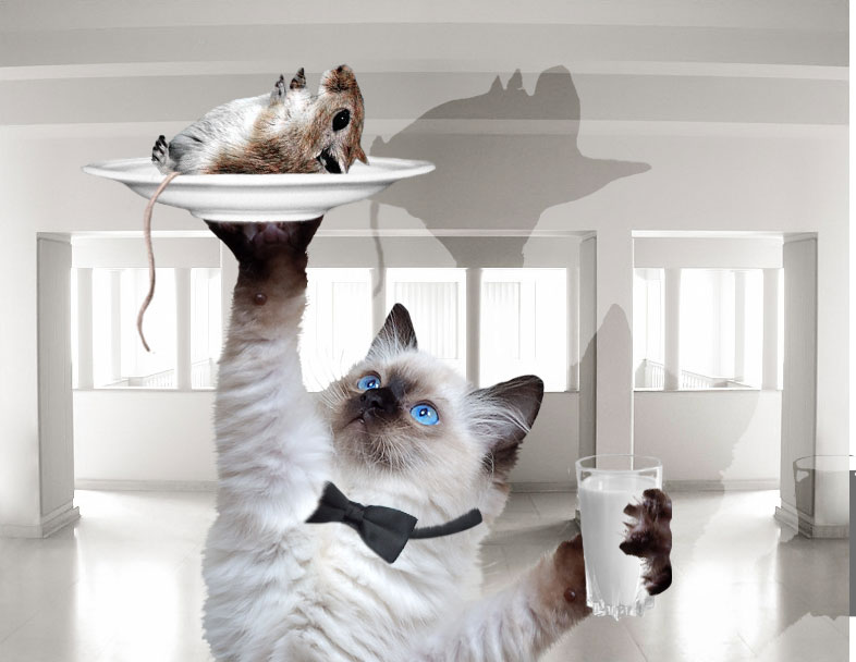 Design Photoshop par Juliette69 pour DesignCrowd (Community Contests) | Design #9098159