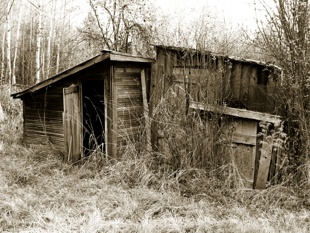 Fotografie von jasduc für DesignCrowd (Community Contests) | Design #9097335