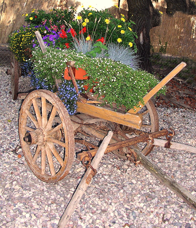 Fotografía por mzmzmzmz para DesignCrowd (Community Contests) | Diseño #9097326