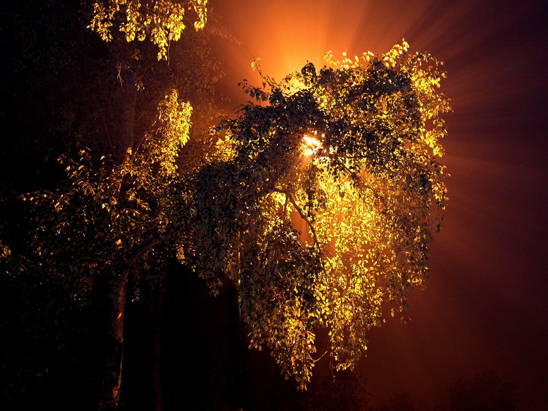 Photography by mzmzmzmz for DesignCrowd (Community Contests) | Design #9073763