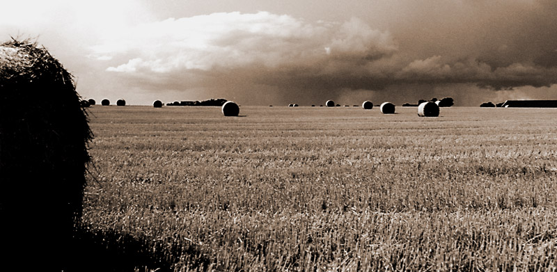 Fotografía por majd para DesignCrowd (Community Contests) | Diseño #9097361