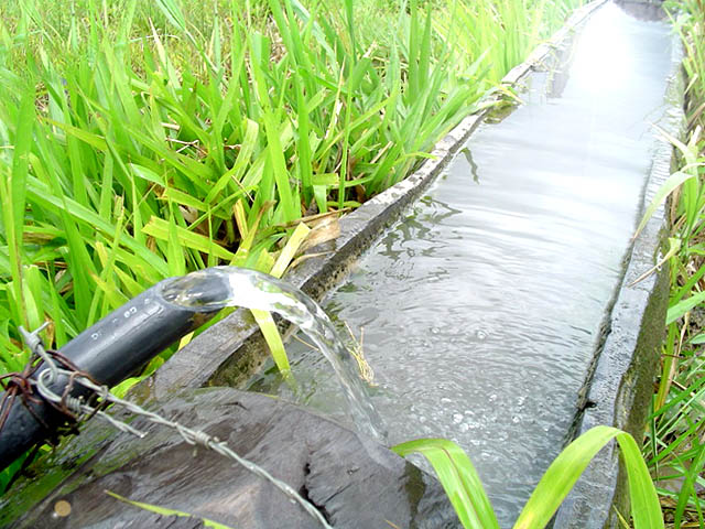 Fotografía por kzk666 para DesignCrowd (Community Contests) | Diseño #9073752