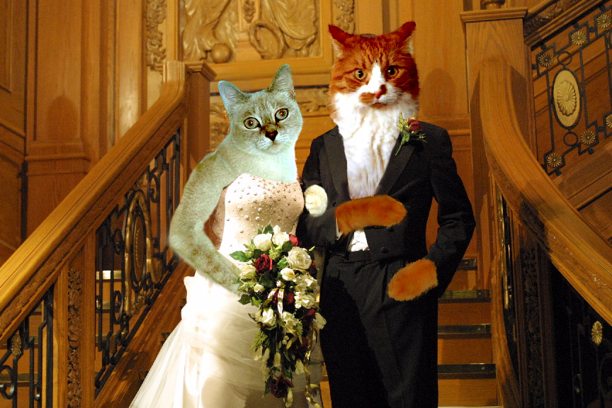 Diseño de Photoshop por chocolatetruffles para DesignCrowd (Community Contests) | Diseño #9098218