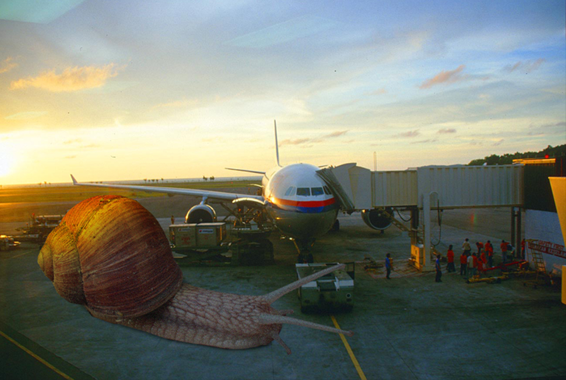 Design Photoshop par GrandpaPorridge pour DesignCrowd (Community Contests) | Design #9094958