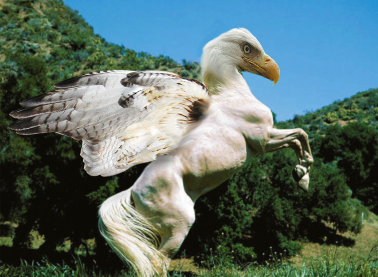 Photoshop Design by Suitela for DesignCrowd (Community Contests) | Design #9094962