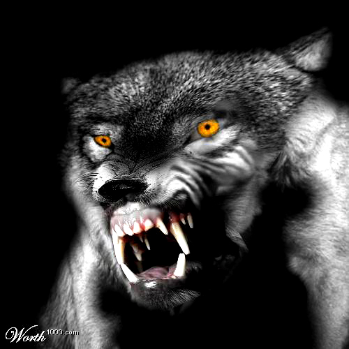 Photoshop Design by NJGraphix for DesignCrowd (Community Contests) | Design #9095019