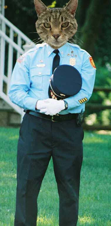 Diseño de Photoshop por external para DesignCrowd (Community Contests) | Diseño #9098264